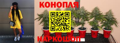 дмт Абинск