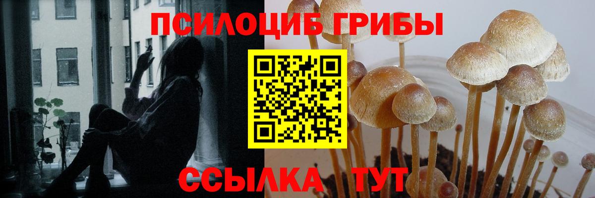 Ангарск  магазин    Псилоцибиновые грибы MAGIC MUSHROOMS  Вход с VPN  Псилоцибиновые грибы Psilocybe 